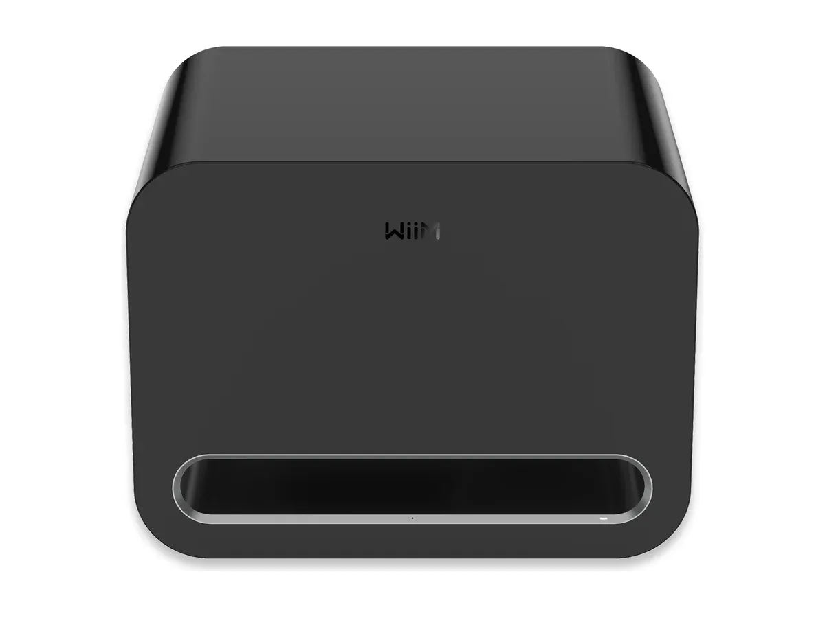 WiiM Sub Pro Subwoofer in Schwarz